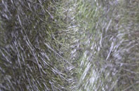 Gibbet Hill fibreglass roof work